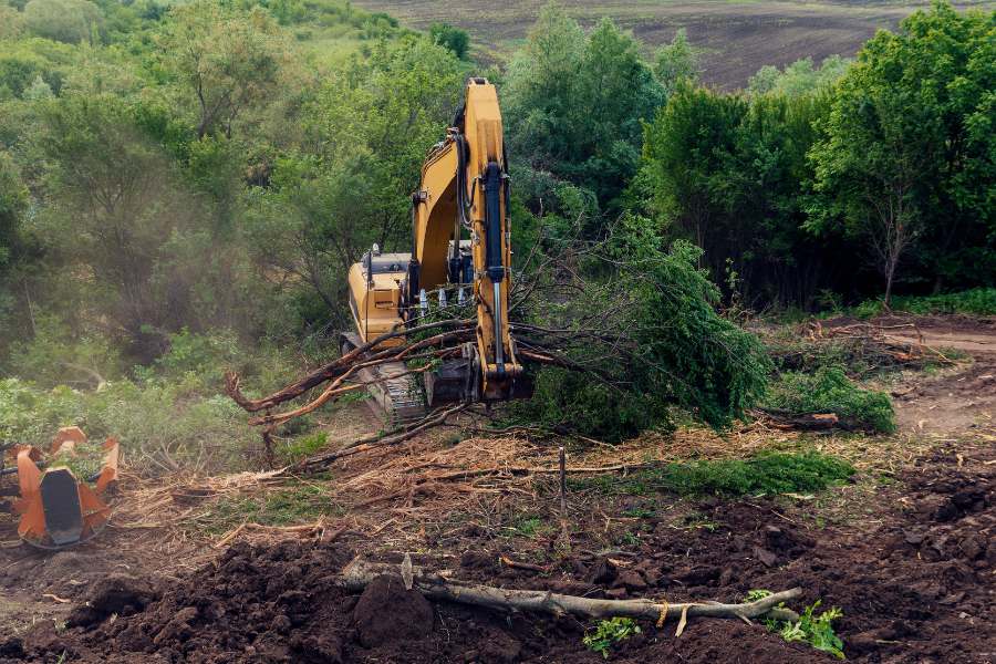 land clearing project